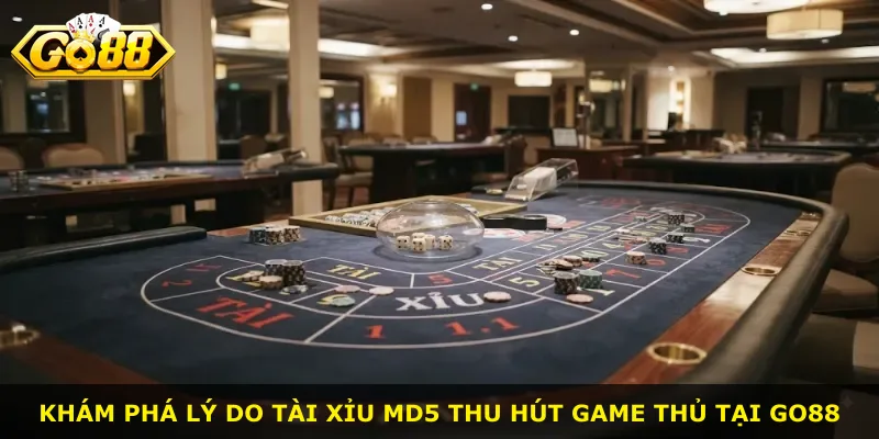 Khám phá lý do Tài Xỉu Md5 thu hút game thủ tại Go88